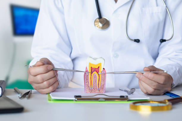 Best Emergency Dentist for Kids  in Johnson City, KS
